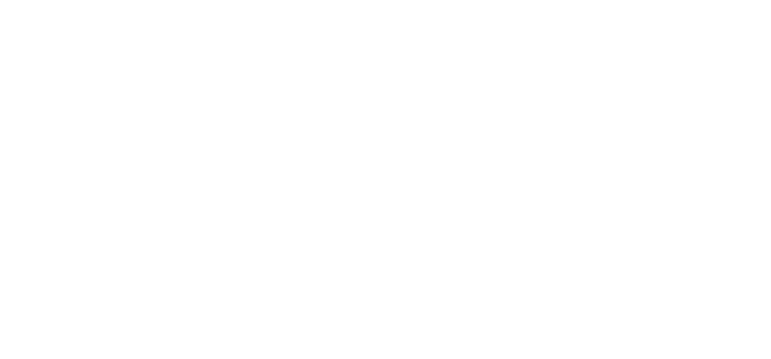 Lavini Weddings